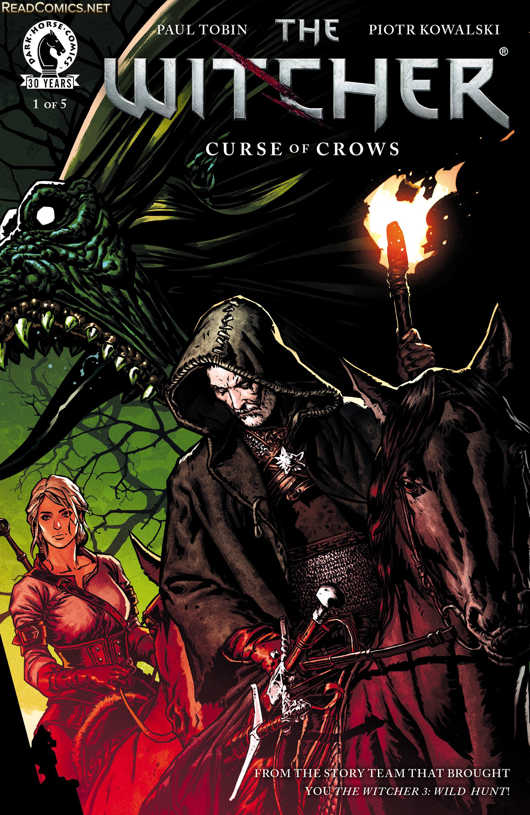 The Witcher Curse Of Crows Witcher Wiki Fandom Powered By Wikia