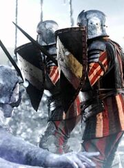 Witcher 2 Aedirnian soldiers