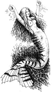 Mermaid komarkova