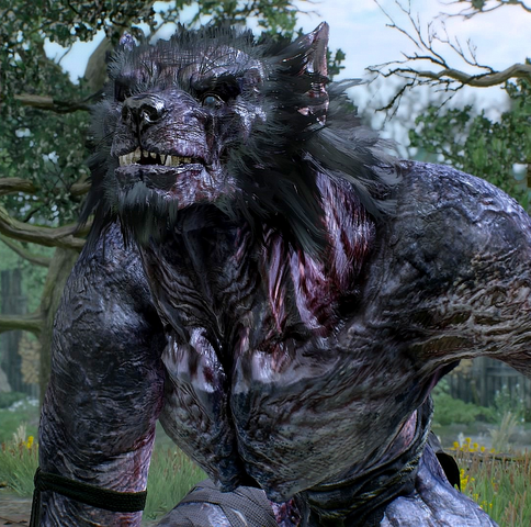File:Tw3 Morkvarg werewolf.png
