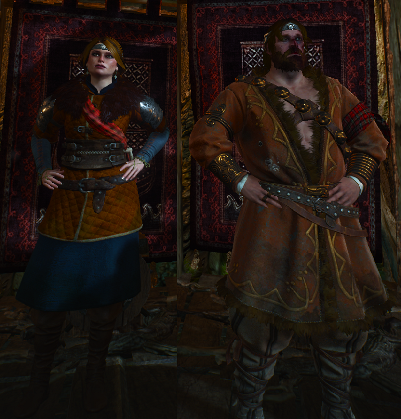 Witcher 3 Stranger In A Strange Land After Kings Gambit