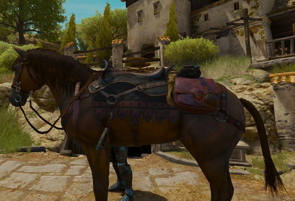 Mastercrafted saddle Witcher Wiki Fandom