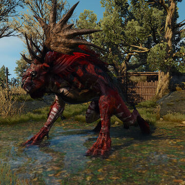 Scavenger Hunt Wolf School Gear Part 5 Witcher Wiki Fandom