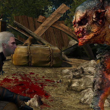 The Volunteer Witcher Wiki Fandom