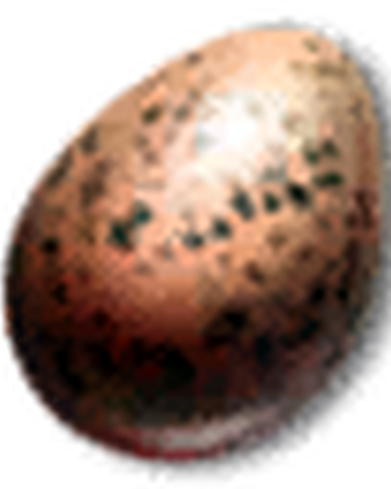 Monster Egg Witcher Wiki Fandom