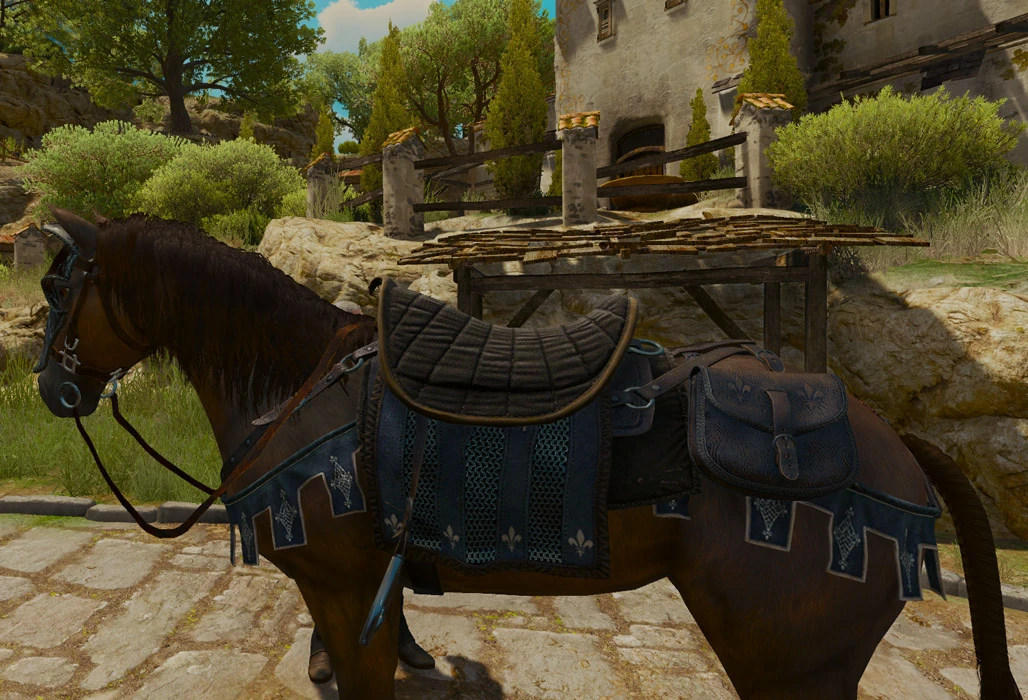 Temerian saddle Witcher Wiki FANDOM powered by Wikia