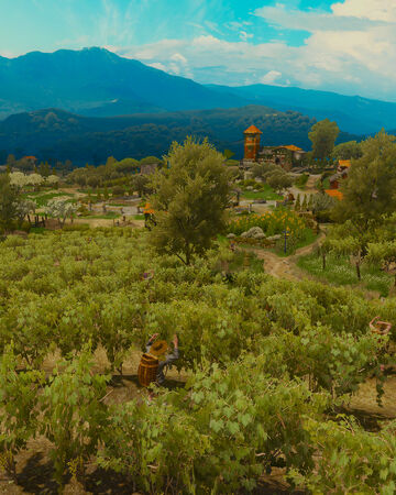 Coronata Vineyard Witcher Wiki Fandom