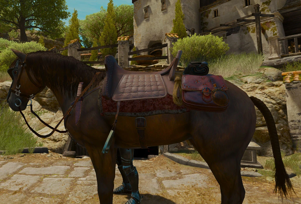 Superior racing saddle Witcher Wiki Fandom
