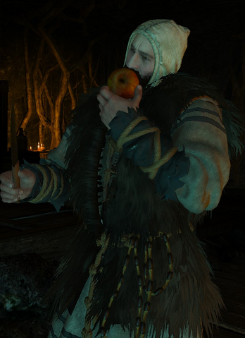 File:Tw3 Vilmar druid.png