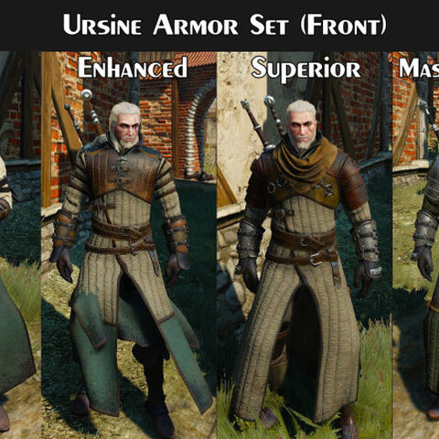 Witcher Cosplay Cat School Witcher Cosplay Cat School