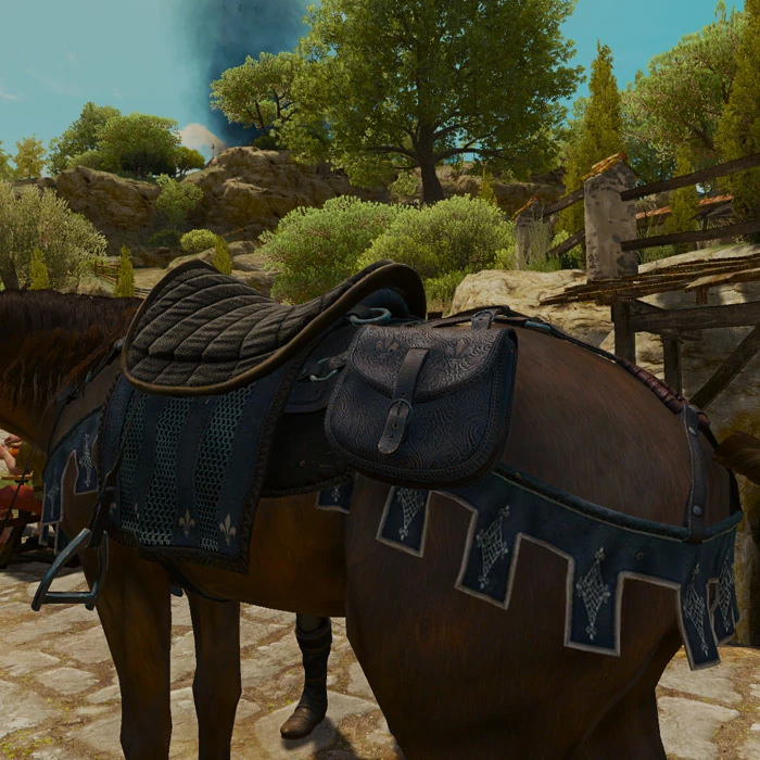 Temerian saddlebags Witcher Wiki Fandom