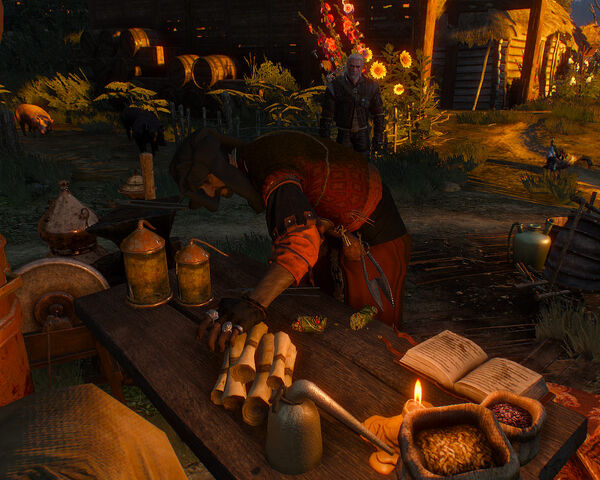 File:Tw3 dulla and scrolls.jpg