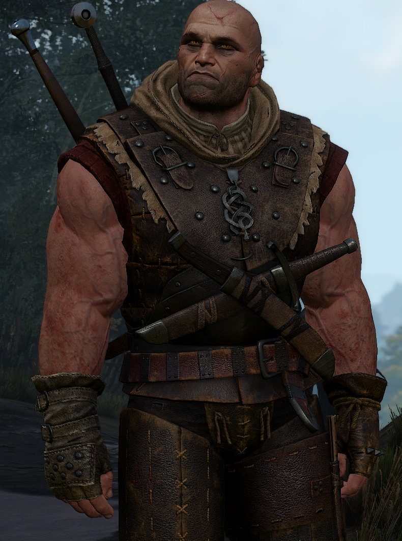 letho de gulet the witcher 3