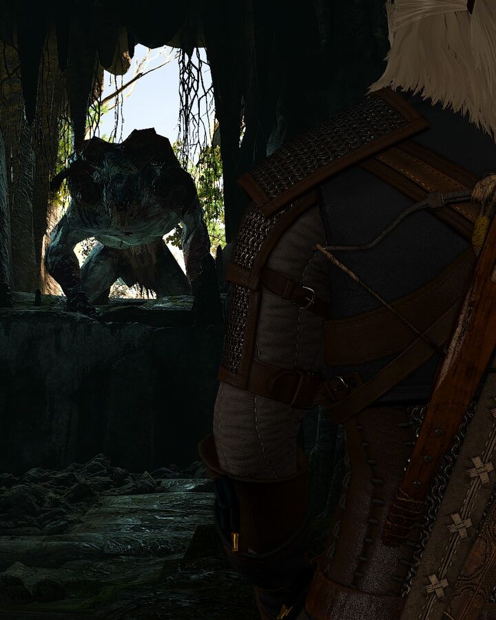 Contract Mysterious Tracks Witcher Wiki Fandom