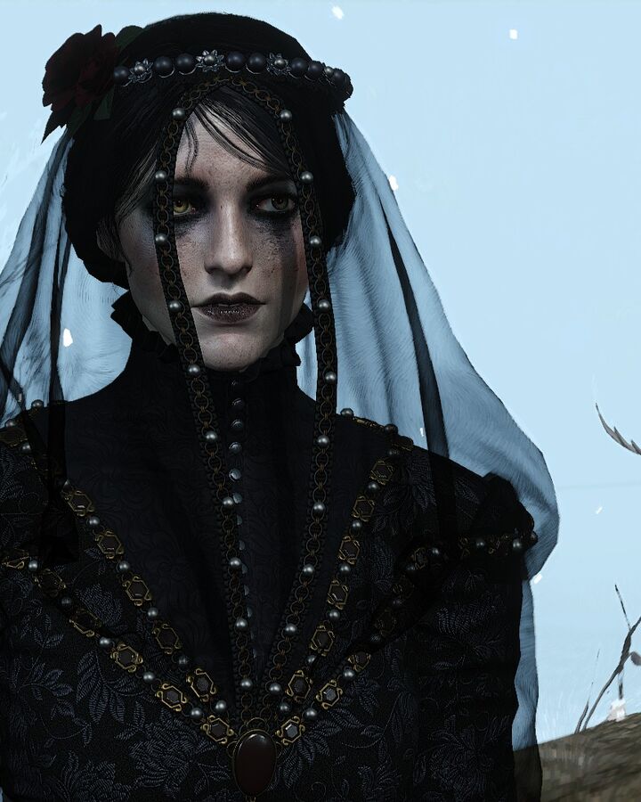 Scenes From A Marriage Witcher Wiki Fandom