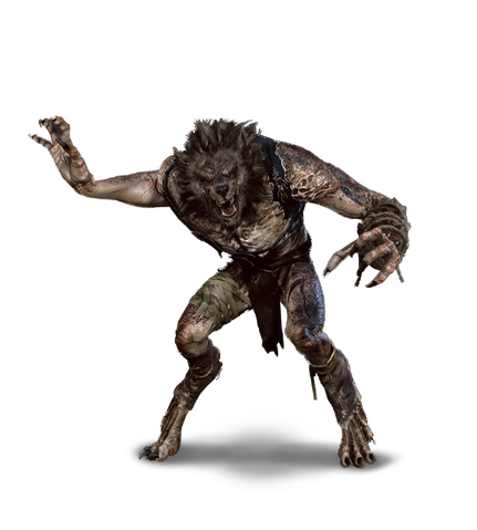 File:Tw3 journal werewolf.png