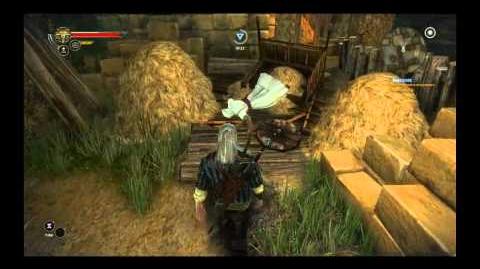 The Witcher 2 Easter Eggs Witcher Wiki Fandom