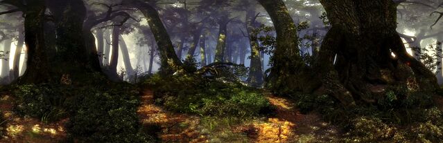 File:Forests of Flotsam.jpg
