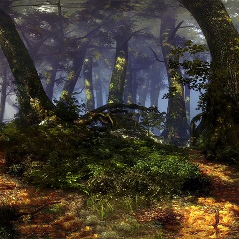 Flotsam Forests Witcher Wiki Fandom Powered By Wikia