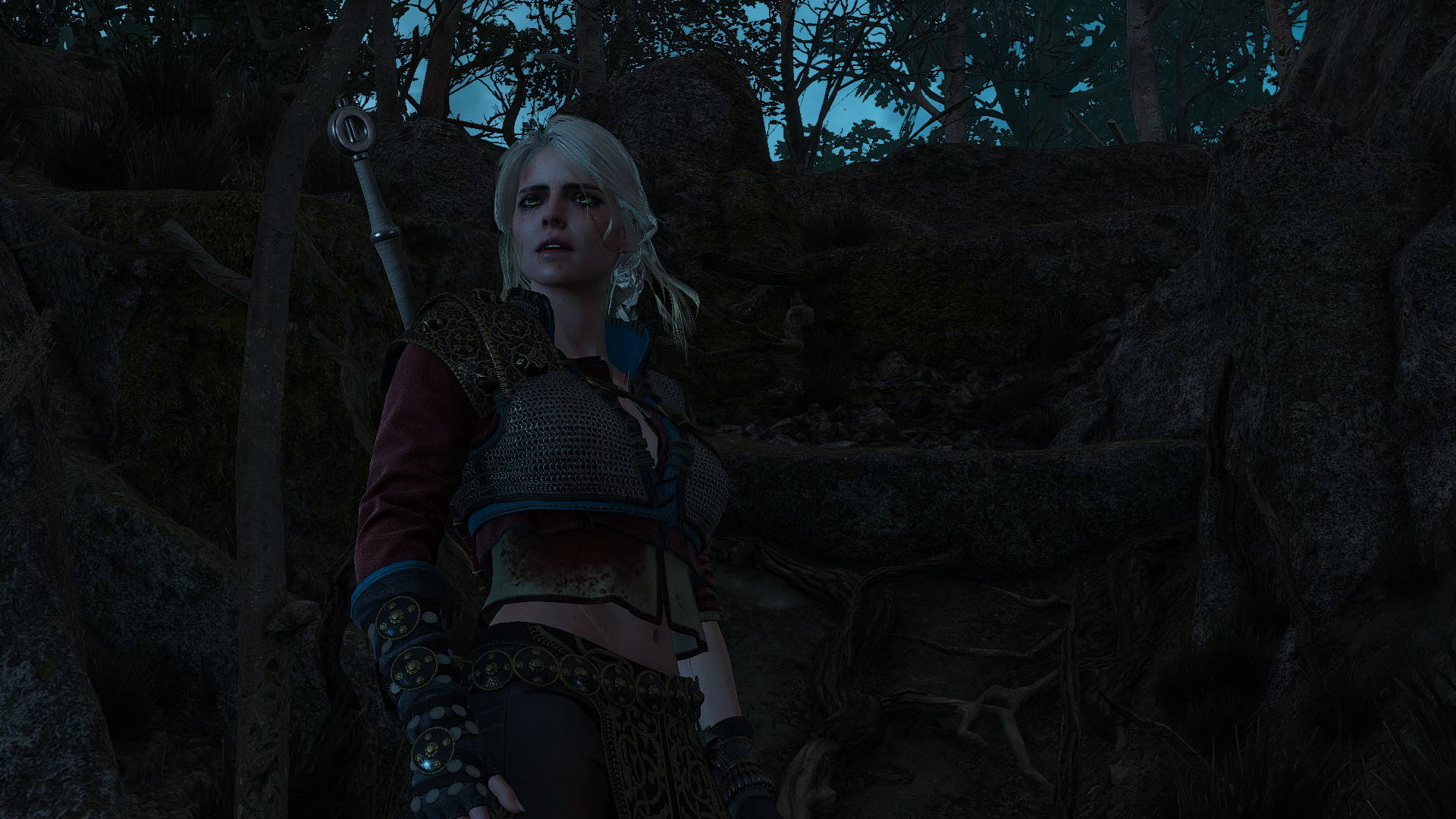 the witcher 2 assassins of kings ciri