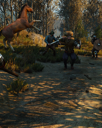 Caravan Attack Witcher Wiki Fandom