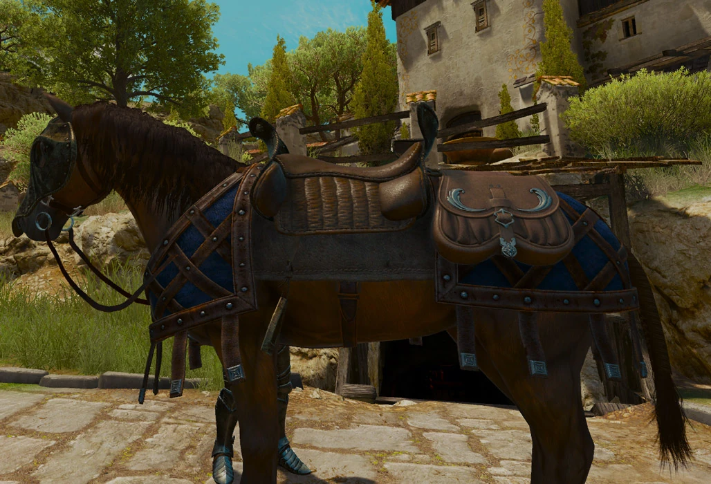 Grapevine saddle Witcher Wiki FANDOM powered by Wikia