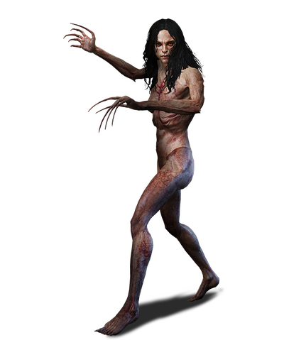 File:Tw3 journal bruxa.png