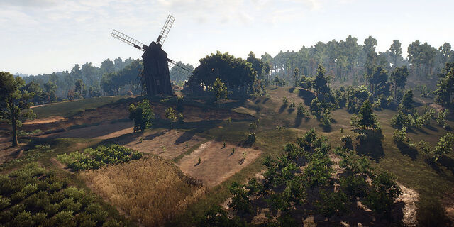 File:WhiteOrchard.jpg