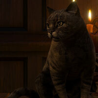 Nibbles Witcher Wiki Fandom