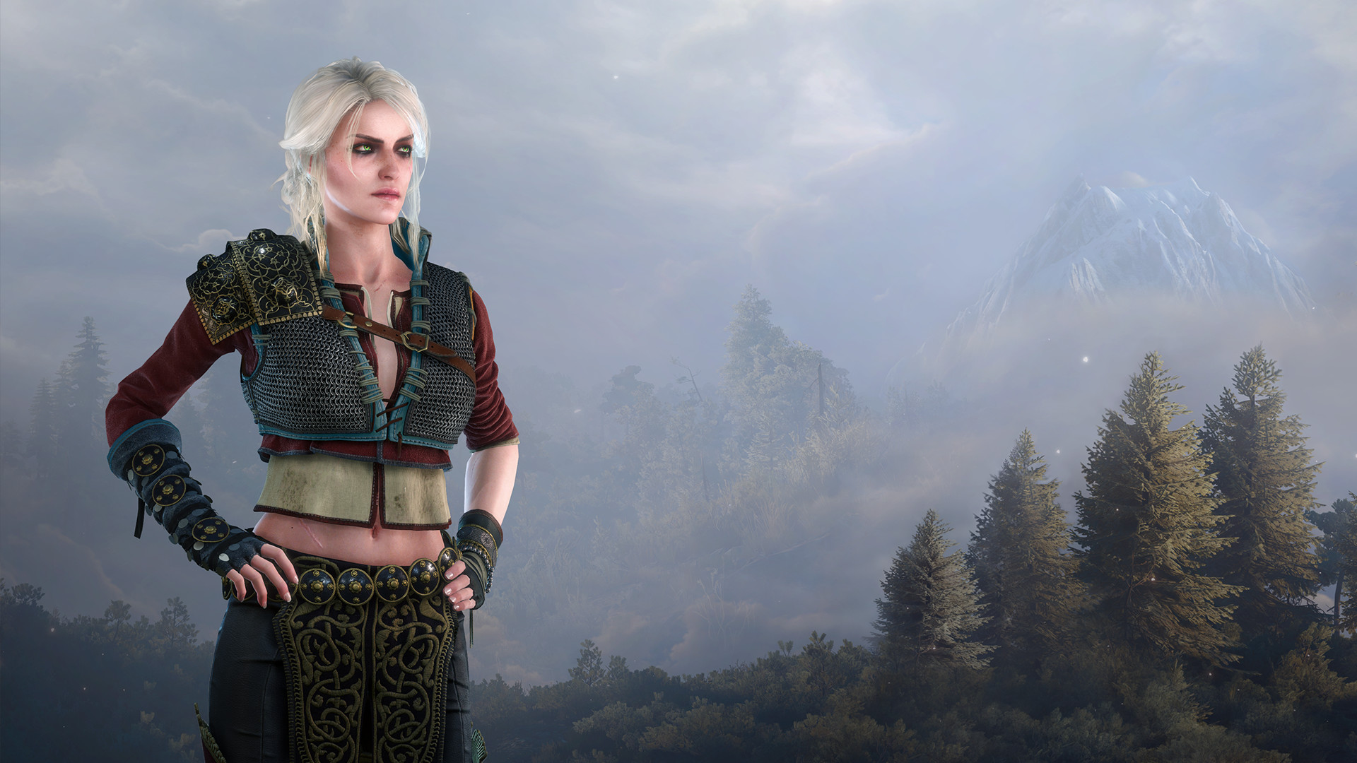 Ciri Witcher Wiki Fandom