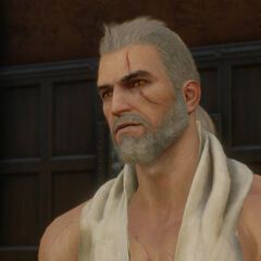 Beard and Hairstyle Set | Witcher Wiki | FANDOM powered by ...