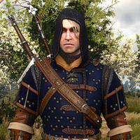 Grandmaster Legendary Feline Armor Witcher Wiki Fandom