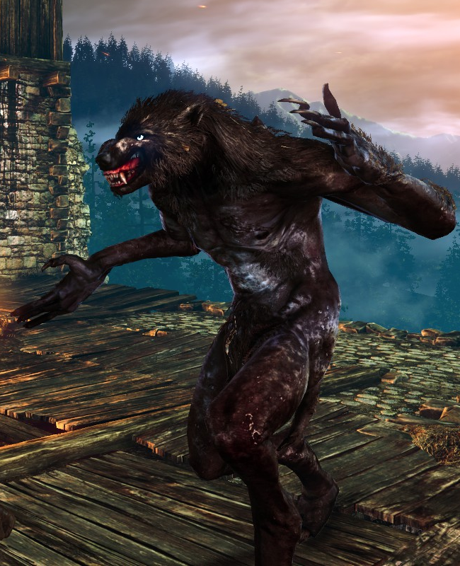 how to beat the werewolf in witcher 3 wild at heart