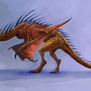 Wyvern Witcher Wiki Fandom Powered By Wikia