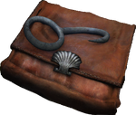 Satchel and hook