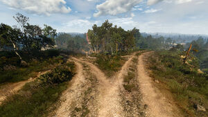 Tw3 crossroads white orchard