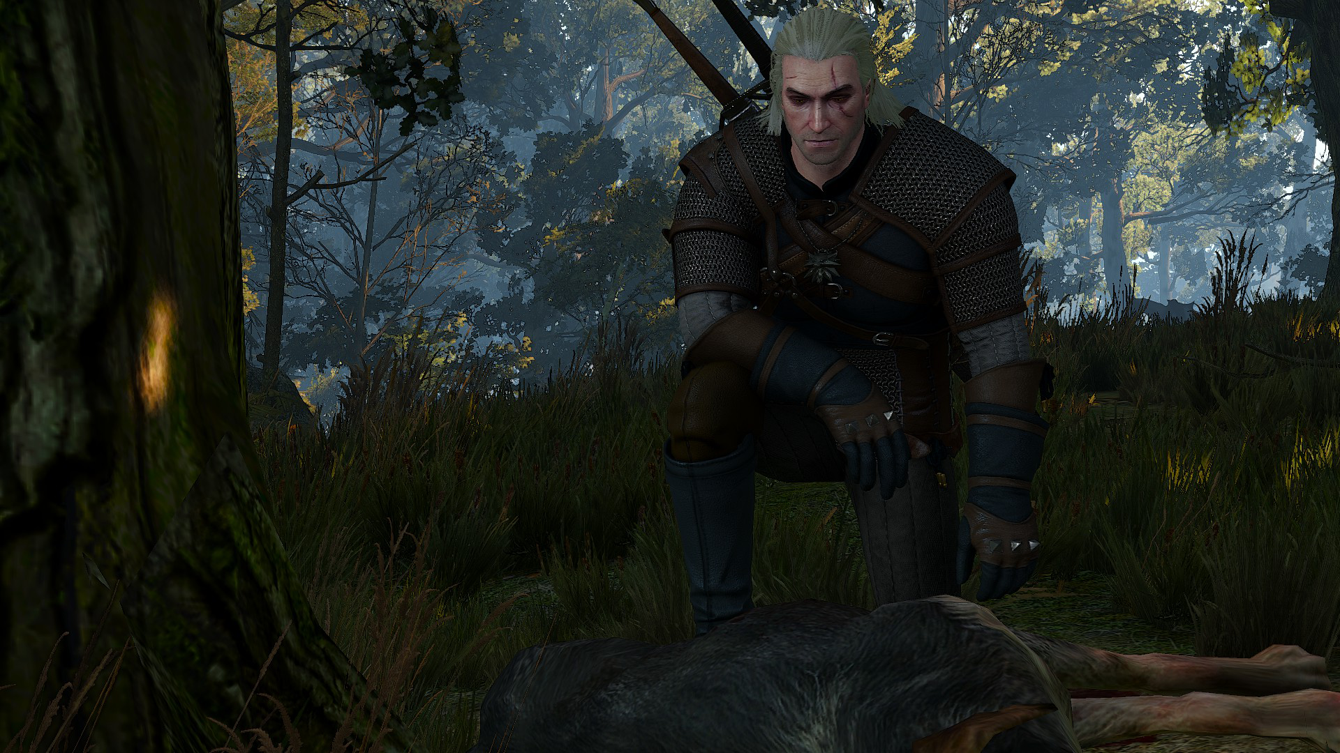 wild at heart witcher 3 bug