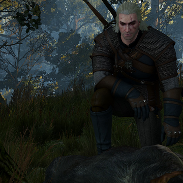 Wild At Heart Witcher Wiki Fandom