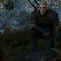 Wild At Heart Witcher Wiki Fandom