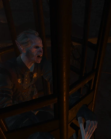La Cage Au Fou Witcher Wiki Fandom