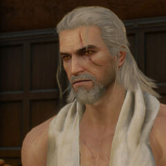Beard and Hairstyle Set | Witcher Wiki | FANDOM powered by ...