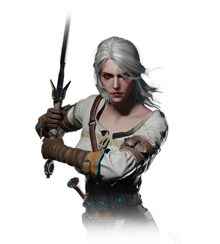 File:Tw3 journal ciri.png