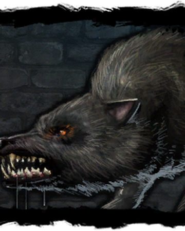 Wolf Creature Witcher Wiki Fandom
