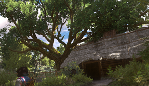 Tw3 Topicals hut