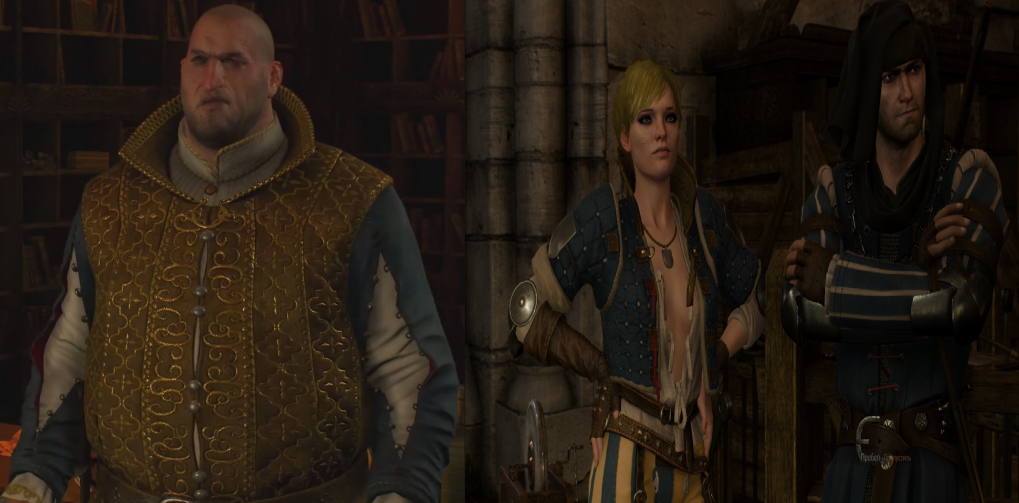 Brothers in arms witcher 3 how far
