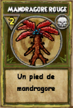 Mandragore rouge