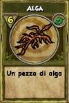 Alga