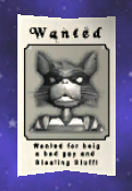 Cat Wanted Poster