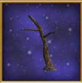 Burnt Tree