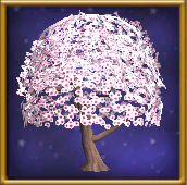 Cherry Blossom Tree